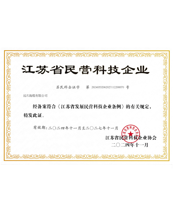 Jiangsu Private Science and Technology Enterprise Certificate
